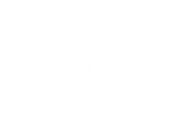 REVIEW 1 (5)